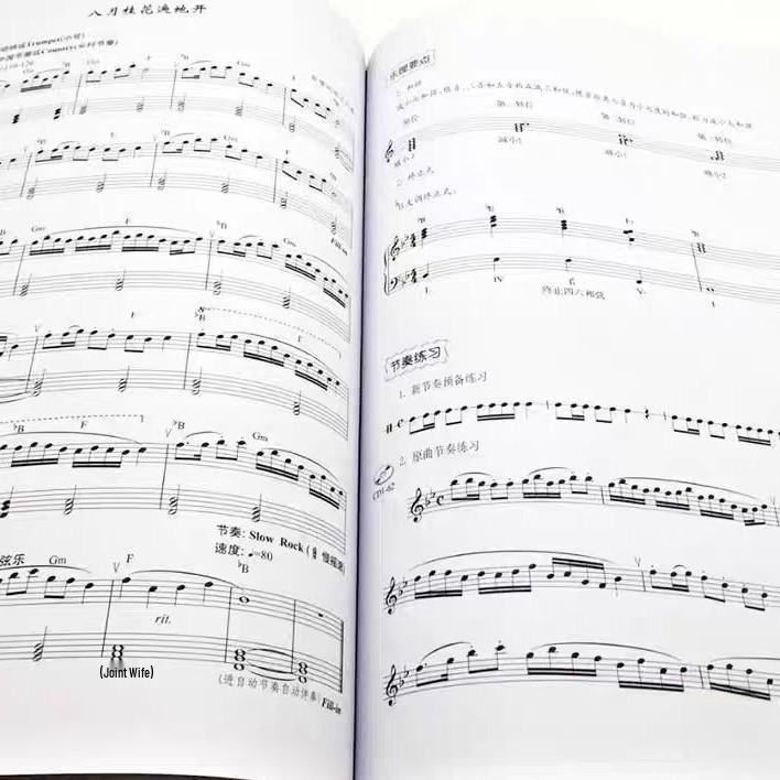 Hanon, Beyer & Czerny Piano Finger Exercises - Large Print Edition with Big Notes.