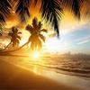 3D Poster Photo Wallpaper Nature For Living Room TV Backdrop Wall Covering Sunset Glow Coconut Sea Landscape Mural Paper 2 Sold