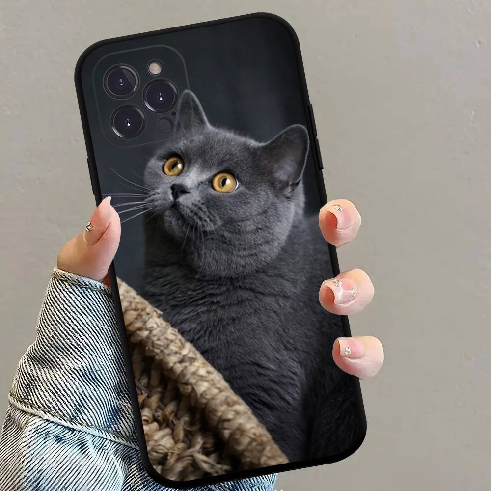 British shorthair cat Phone Case Black Soft Silicone TPU Phone Case For IPhone 11 12 13 14 15 16 17 Pro Plus Mini Max