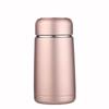 350ml Winter Style Stainless Steel Mini Vacuum Cup with Tea Infuser
