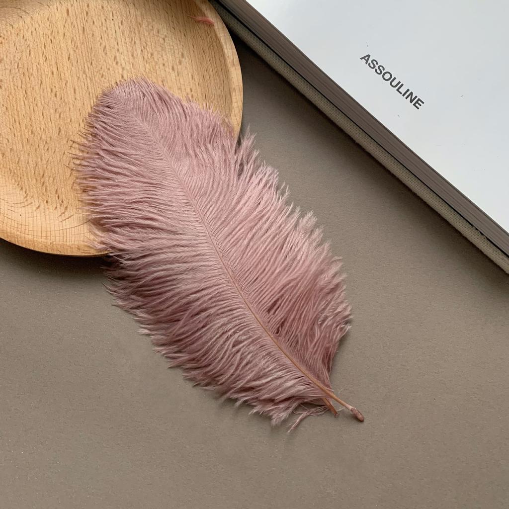 Color ostrich hair 15-20CM ostrich feather Internet celebrity photo background wall feather cake flower arrangement DIY decoration