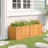 Raised Garden Bed 150x50x50 cm Solid Wood Teak