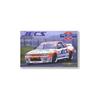 Aoshima Bunka Kyozai Skyline 20 Gex 1/24 R-32 GT-R