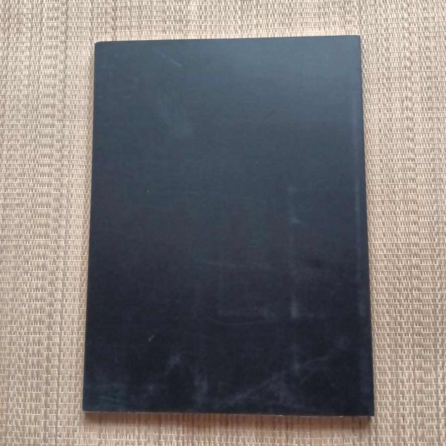 [USED] Chizuko Sasado, Sculpture, Figurative sculptor. Tadayoshi Sato, Catalog, Collection of Works