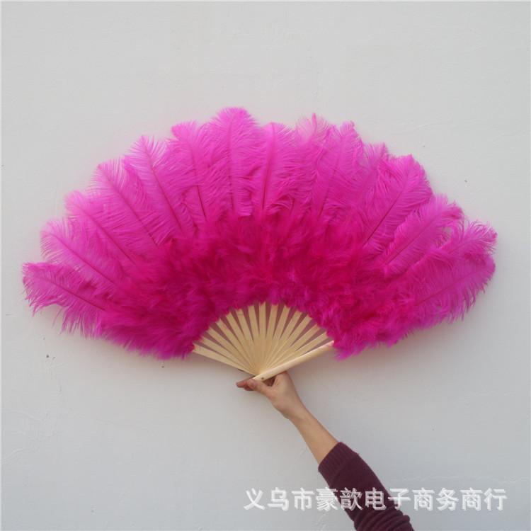 

15 Fan Bones, Large Ostrich Feather Fan, Craft Fan, Dance Bar Performance Props, Hanging Fan, Feather Fan Props розы красного