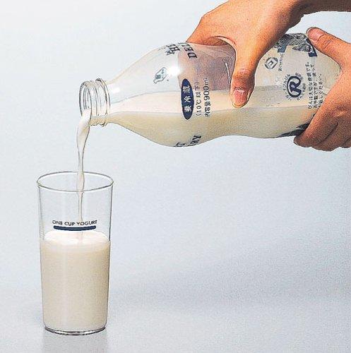 Hario Caspian Sea Yogurt Maker EHC-3