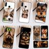 Yorkshire Terrier Dog For Huawei Nova 11i 8i 7i 3i Nova 10 9 SE 5T Y60 Y61 Y70 Y90 P20 P30 P40 Lite P60 Pro Case