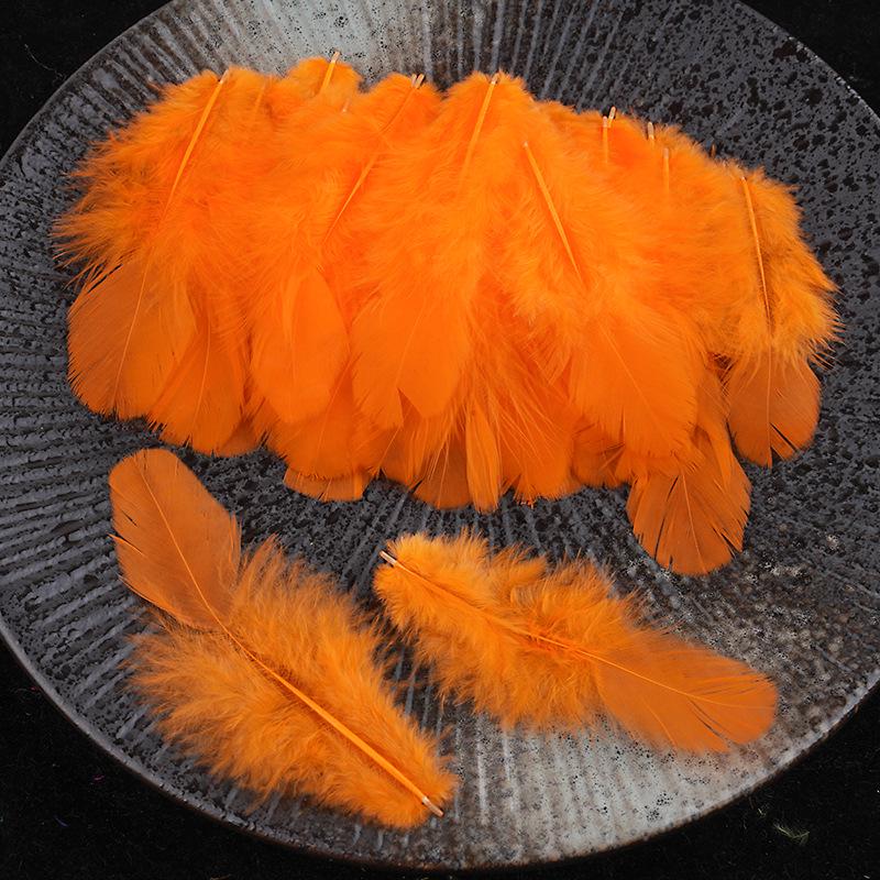 Mixed Color Chicken & Peacock Feathers for DIY Ornaments, Handicrafts, and Handmade Clothing Accessories.