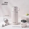 Diller Portable 500ml Stainless Steel Insulated Bottle