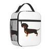 Dachshund Patroon Kunst Geïsoleerde Lunchtas voor Vrouwen Kinderen Lekvrije Voedseldozen Thermische Lunchbox Tote