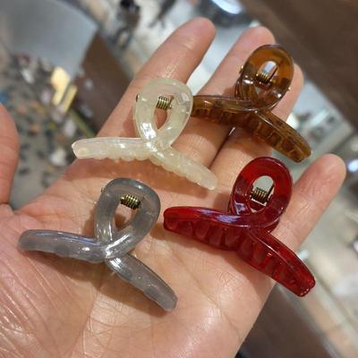 Korean Jelly Color Cute Hair Clip: Exquisite Small Claw Clip for Girlish Hairstyles and Updos