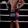 AnotherBoxer MMA Training Pants Men UFC Boxing Muay Thai Kickboxing Fight Gear With Mask Design