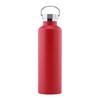 Stainless Steel Water Bottle with Handle Lid, Double Wall Vacuum Insulated Bottle for Sports Hiking Gym
