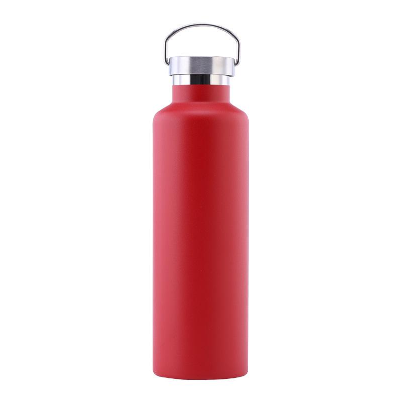 Stainless Steel Water Bottle with Handle Lid, Double Wall Vacuum Insulated Bottle for Sports Hiking Gym
