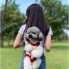 Travel Foldable Cat Travel Bag Pet Double Shoulder Bag Dog Carrier Backpack Puppy Carring Bags