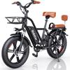 Ridstar FM001 Adult City Electric Bike With Seat 1000W Motor Electric Bicycle 48V13AH Battery E-Urban Bike 20 Inch Off-Road Tire E-bike