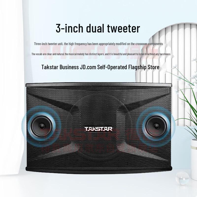 Takstar K-100 Karaoke Speaker System