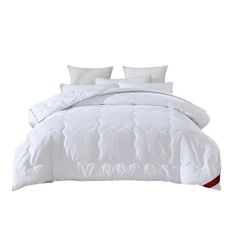 

MENGJIE All-Season Feather Velvet Quilt