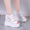 2025 Summer Wedding Banquet Ladies High Heel Thick Sole 12cm Cool Boots Muffin Bottom Fish Mouth Shoes