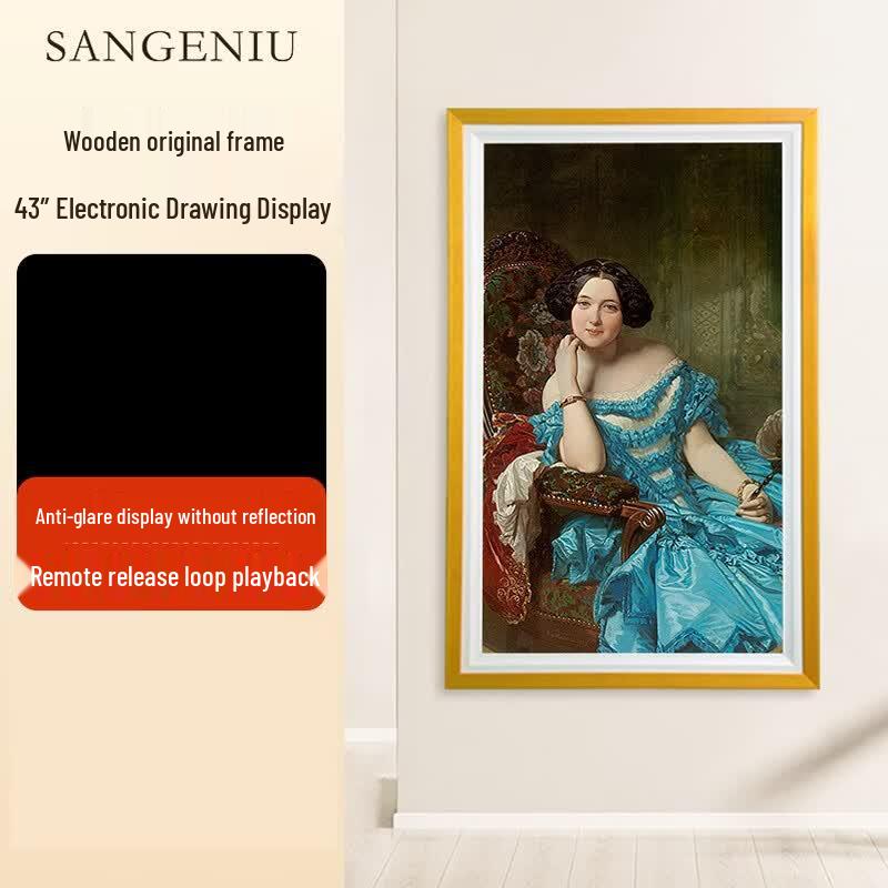 SANGENIU 43-inch Non-Touch Network Digital Art Display CN plug (adapter included)