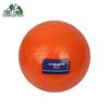 Shun Hua Lang Training Medicine Ball