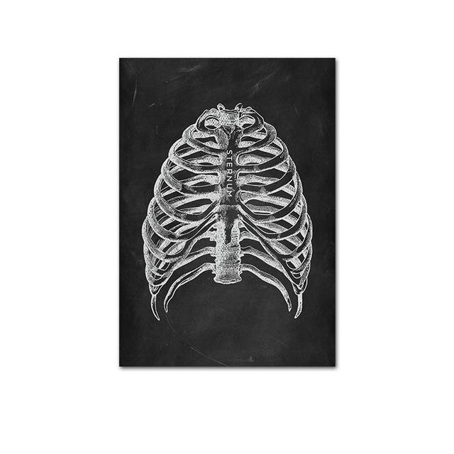 Human Musculoskeletal Heart Anatomy Skeleton Poster Canvas Painting and Printmaking Home Room Painting Decorative Art No Frame