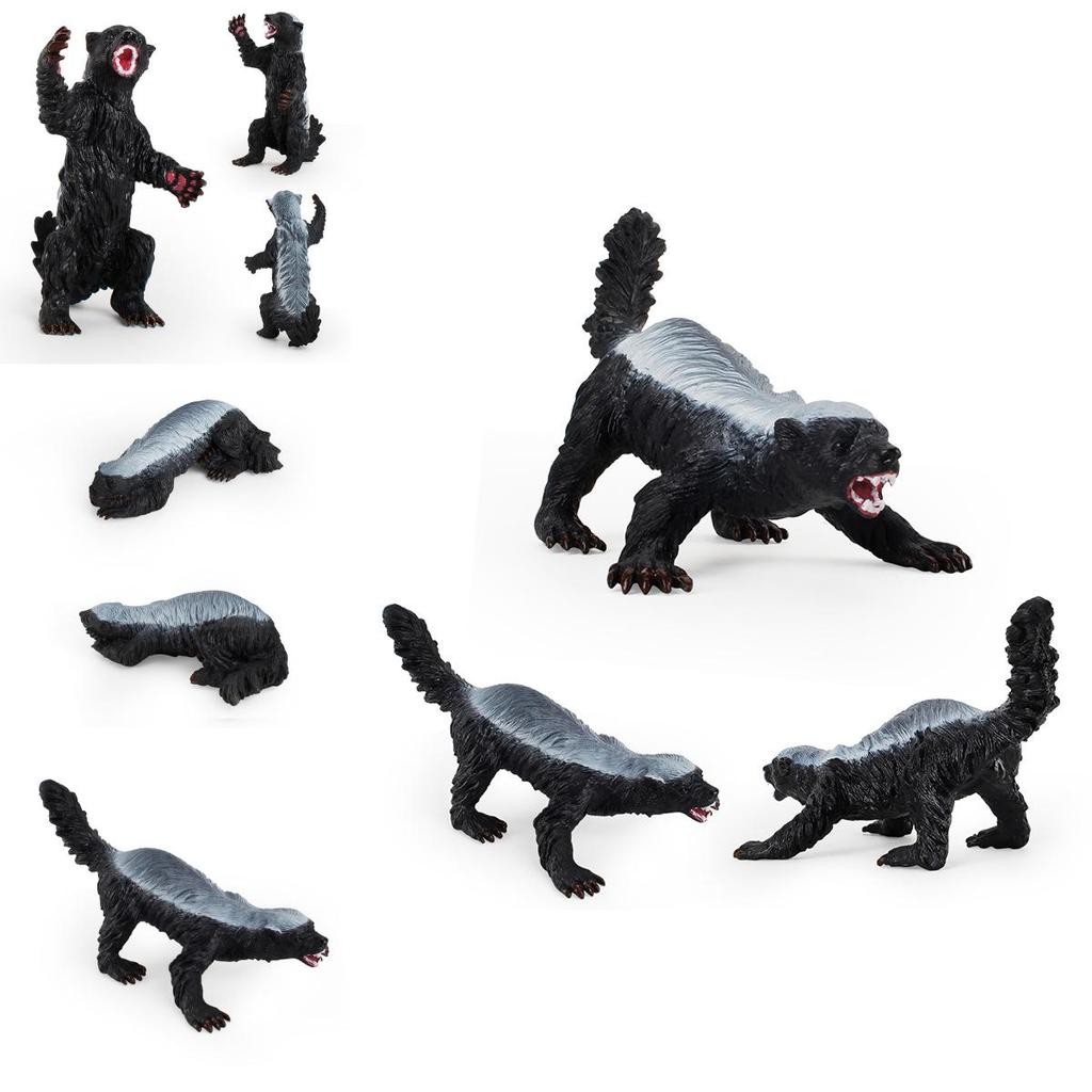 Premium Quality Honey Badger Ratel Figure Wild Animal Model Toy For Kids Gifts