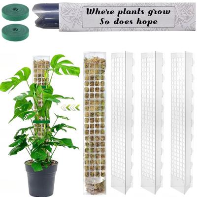 Poteau en mousse Support de plante en plastique Plantes grimpantes d'intérieur Tuteurs Pot Bâton de mousse Pour la croissance des plantes Accessoires de support de jardin