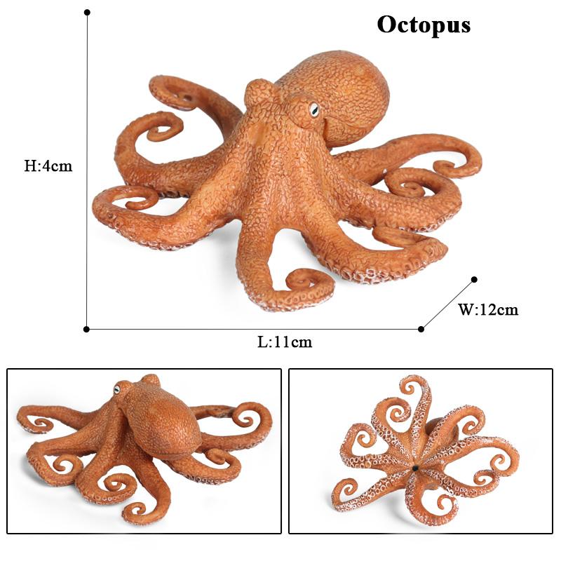 Oenux Marine Molluscs Model Simulation Squid Octopus Growth Cycle Action Figure Sealife Animals Education Collection Kids Toy