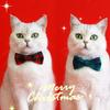 2023 New Christmas Bow Tie Pet Collar Red And Green Plaid Adjustable Choking Hazard-free Cat And Dog Accessories