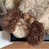 Dog Glasses Puppy Scarf Lamb Winter Cashmere Scarves Classic Wool Shawl  Girl