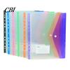 Binder Compatible Folder 11 Hole Clear File for A4 Binders, Colorful Plastic Document with Bag Snap Button & Label Slot, Transparent Project Organizer