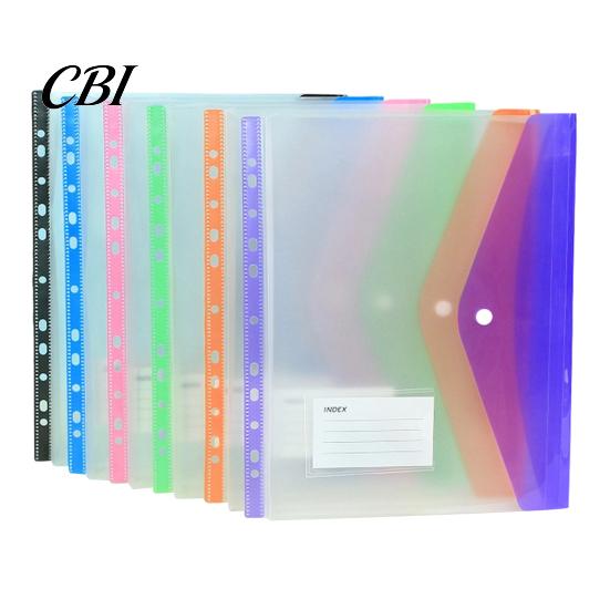 Binder Compatible Folder 11 Hole Clear File for A4 Binders, Colorful Plastic Document with Bag Snap Button & Label Slot, Transparent Project Organizer