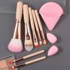 REGENBOOG - Set of 10: Makeup Brush + Triangle Powder Puff + Mini Makeup Blender Beauty Sponge