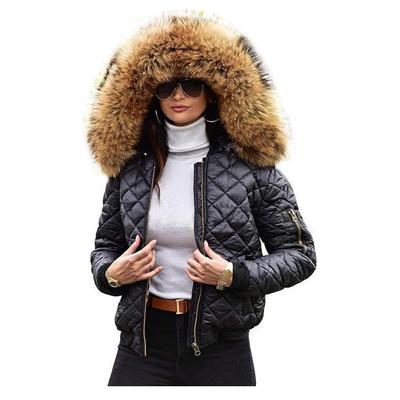 Women's Plus Size Hooded Cotton-Padded Jacket - European & American Style, Short, Warm, Suitable for Autumn & Winter