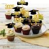 2025 Graduation Cupcake Toppers, 24Pcs Food/Appetizer Picks For Graduation Party Mini Cake Decorations, Diploma, 2025, Grad Cap