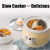 Ceramic Fully Automatic Soup Pot Congee Bird's Nest Stew Pot Mini Multi-function Safe Slow Cooker Electric Slow Cooker