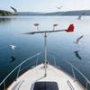 Stainless Steel Wind Direction Indicator Reflective Design Weather Vane for Night Navigation Safety on Boats
