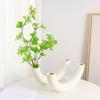 Vase Versatile Arc-Shaped Decorative Vase Bedroom Floral Arrangement Vessel Living Room Home Office Decor