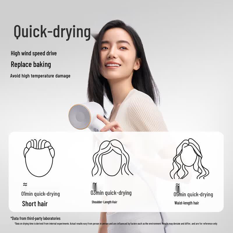 Laifen SE High-Speed Ionic Hair Dryer CN plug (adapter included)