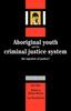 Buch Aboriginal Youth and the Criminal Justice System : The Injustice of Justice?