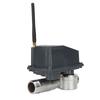 Solar Smart Garden Watering Timer G1 To G3/4 Thread Sprinkler Timer 4G Wireless Control APP IP66