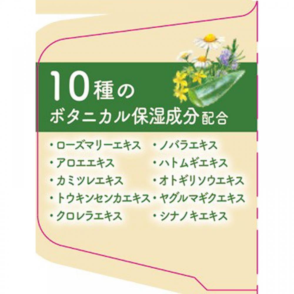 Warm Bubble Botanical Time 12 Tablets Earth Pharmaceutical