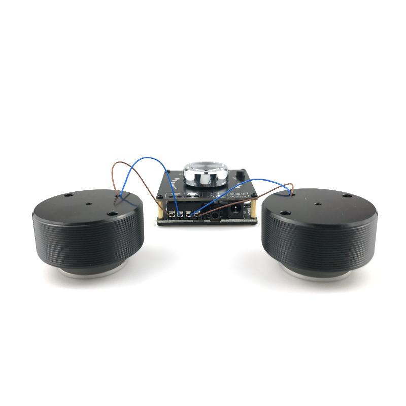 25W Resonance Vibration Speaker Bluetooth Stereo Audio Class D Power Amplifier Subwoofer DIY 2.0 HiFi Sound System