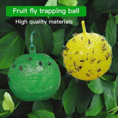 1 pz Trappola per mosche della frutta con adesivo sferico forte per intrappolare piccoli insetti volanti e parassiti nelle aziende agricole da frutteto