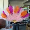 Mixing colour Ostrich Feather Hand Fan 70cm 100cm Fluffy Plumes Fan for Wedding Burlesque Stage Dance Performance Carnival Props