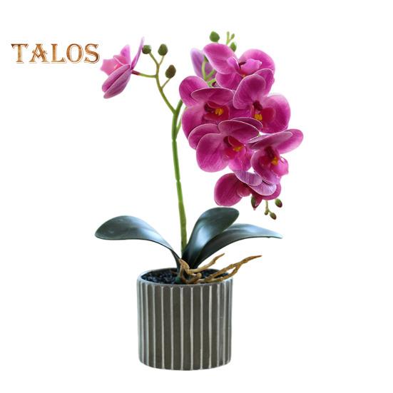 Umělá květinová rostlina, umělá orchidej, bonsai, stolní umělé květináče, phalaenopsis, pro domácí jídelní stůl, kancelářský stůl, dekorace