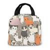 Insulated Lunch Bag Thermal Funny Cartoon Cats Tote Bags Cooler Picnic Food Lunch Box Bag For Kids Women Girls Men Children