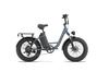 URLIFE E20 PRO Adult Electric Bike 1500W High-Power Motor 48V 15.6AH Battery 20*4.0 Inch Fat Tires for Off-Road & Urban Rides