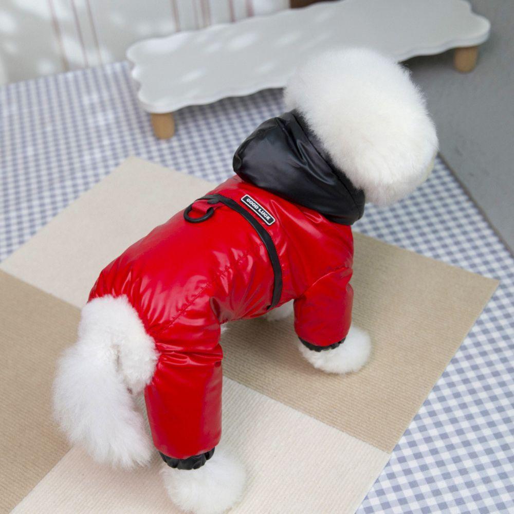 Padded Lining Dog Winter Coat Hooded Puppy Outfit New Warm Dog Jacket for Small Dogs